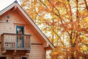 Wadano Woods Chalet, Hakuba