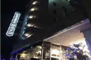 Hotel Los Inn Kochi, Kochi