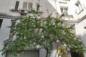 Vittoria Guest House - Salerno, Salerno