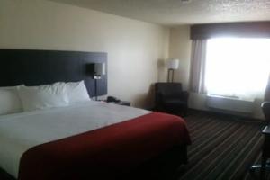 Motel 229, Colorado Springs