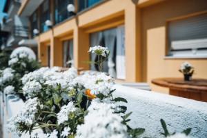 Hotel Morri's, Rimini