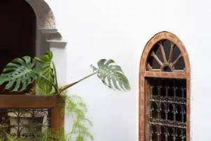 Riad 9 Fez Hotel, Fes