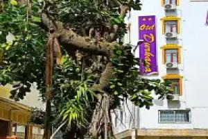 otel durkaya, Manavgat