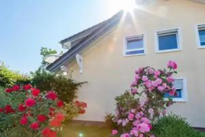 Haus Sohl 2 Cottage, Friedrichshafen