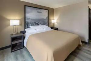 Super 8 by Wyndham Hotel, Laredo