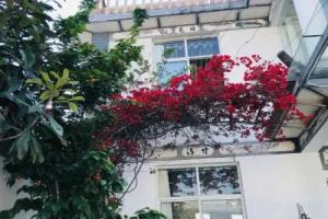 Summerfield Mountain Lodge · Old Town, Dali