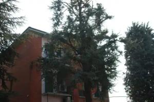 Hotel Tuscolano, Bologna