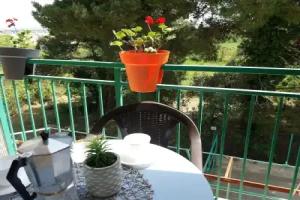 Apartments Pipunic, Prvic Luka