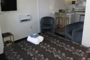 Greymouth KIWI Holiday Parks & Motels, Greymouth