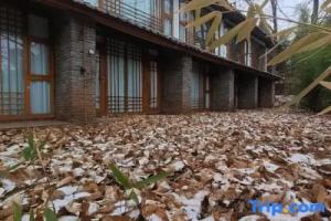 Dream Deer Homestay, Lijiang