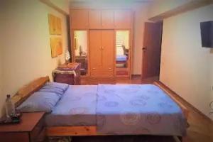 Spacious and Cozy Apartments, Tashkent