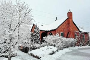 Ski, Shop & Explore: Walkable Midtown Oasis! Tourist base, Reno