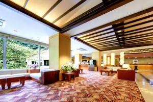 Hotel Okuyumoto, Hakone