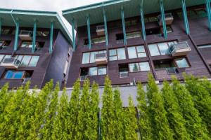 Silver Mountain Apartment, Brasov