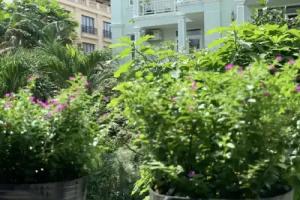 The Royal Hotel Apartment - Phu My Hung, Ho Chi Minh