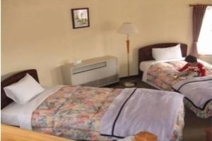TOKINOSUMIKA HOTEL OLIVE NO KI - Vacation STAY 83622, Izu