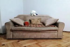 Golden Fleece Hostel, Tbilisi