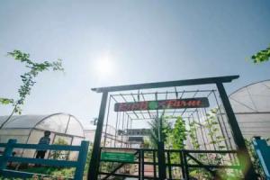 Kipbox Hotel, Trang