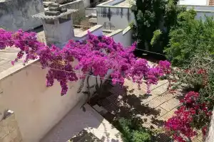 Welcomely - Celi Blu Apartments, Lizzanello