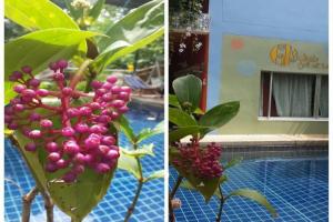 Nida Rooms Phorkhuntalae 25 Aquarius, Surat Thani City