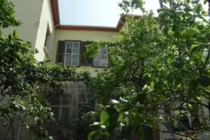 Lotus Garden Hostel, Izmir
