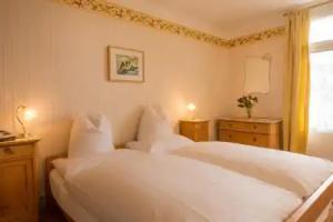 Historic Hotel Falken, Wengen