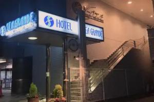 Seagrande Shimizu Station Hotel, Shizuoka