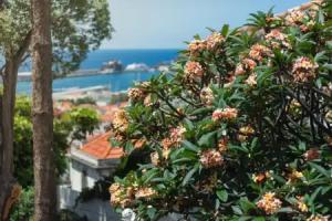 Arts In Hotel Conde Carvalhal, Funchal