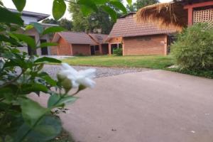 Khai Mook Homestay, Nan
