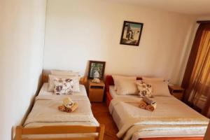 Apartment Dasic, Bar