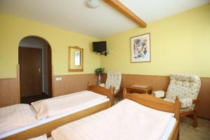 Hotel Solaster, Trebic