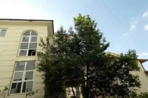Botanic Park Apartments, Tirana