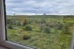 Lambalækur, Borgarnes