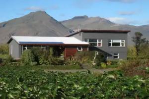 Dilksnes Guesthouse, Hofn