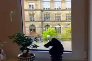 Altbauwohnung im Herzen von Hotel, Karlsruhe