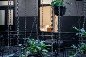 Umbral, a Curio Collection by Hilton, Mexico City