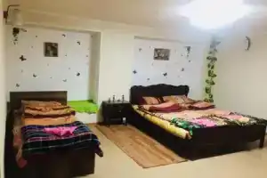 Hostel FORREST, Kutaisi