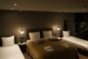 Boutique Suites Lisse - Keukenhof, Lisse