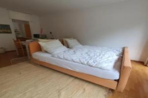Apartment mit Blick auf das Eversten Holz 42qm, Oldenburg