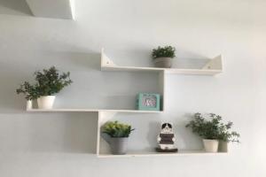 Otter House, Krabi City