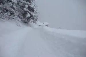 Ratzeshof, Kastelruth