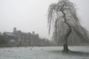 Newpark House, Ennis