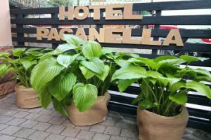 Hotel Paganella di Molveno, Molveno