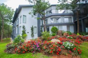 Terracotta Hotel & Resort Dalat, Dalat