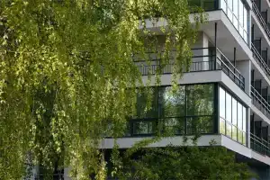 Baden-Baden Tavatui, Novouralsk