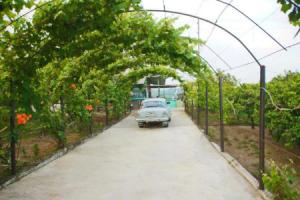 V Gostyah u Anny Guest house, Psyrdzha