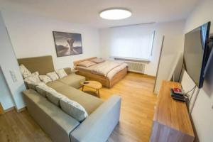 Luxus Apartment mit Whirlpool und privater Sauna, Bad Mergentheim