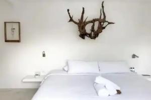 Coco Unlimited, Tulum