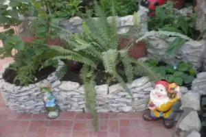 General Dbar Guest House, Gagra