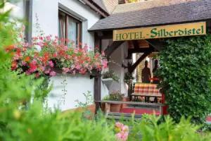 Hotel Silberdistel, Hinterzarten